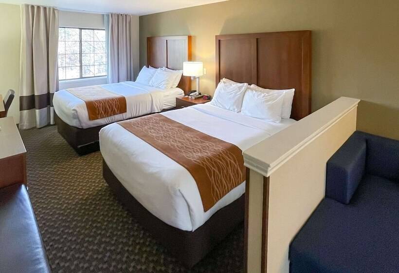 スイート, Comfort Inn & Suites Midtown