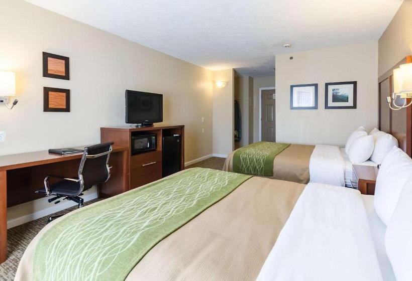 Номер Стандарт Адаптированный для Инвалидов, Comfort Inn  Wytheville Fort Chiswell