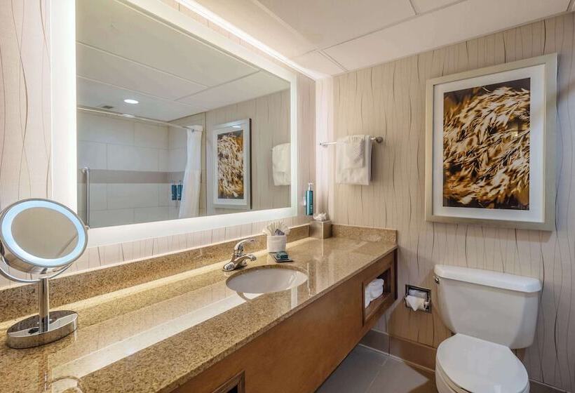 Номер Deluxe Адаптированный для Инвалидов, Doubletree By Hilton Hotel Lawrence