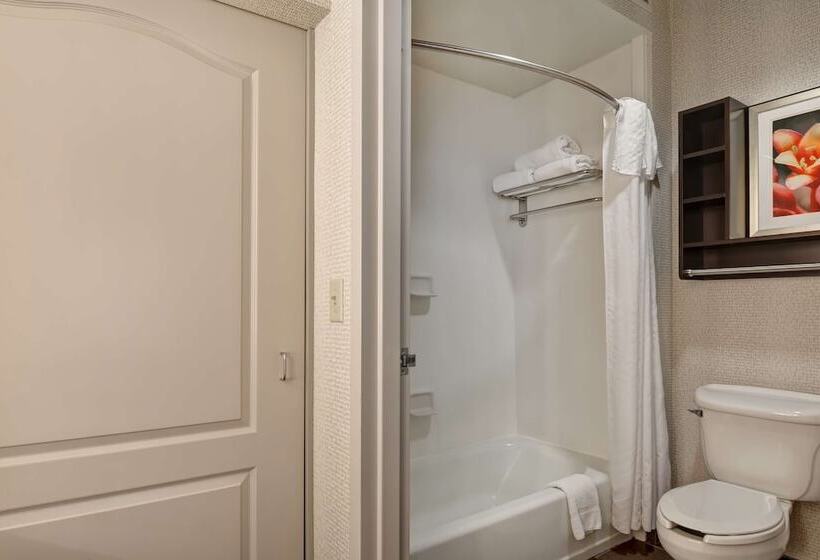 سوییت, Homewood Suites By Hilton Amarillo