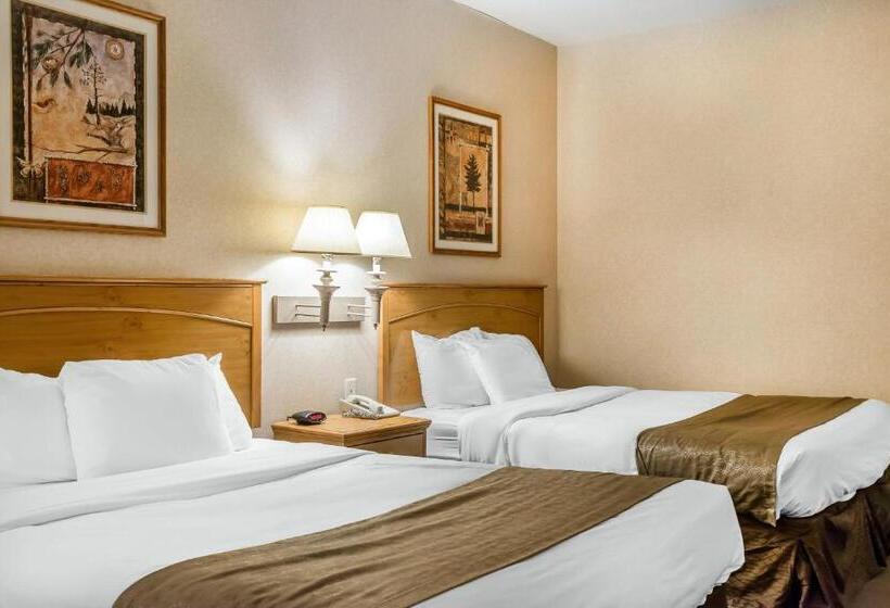 스탠다드 룸, Rodeway Inn & Suites