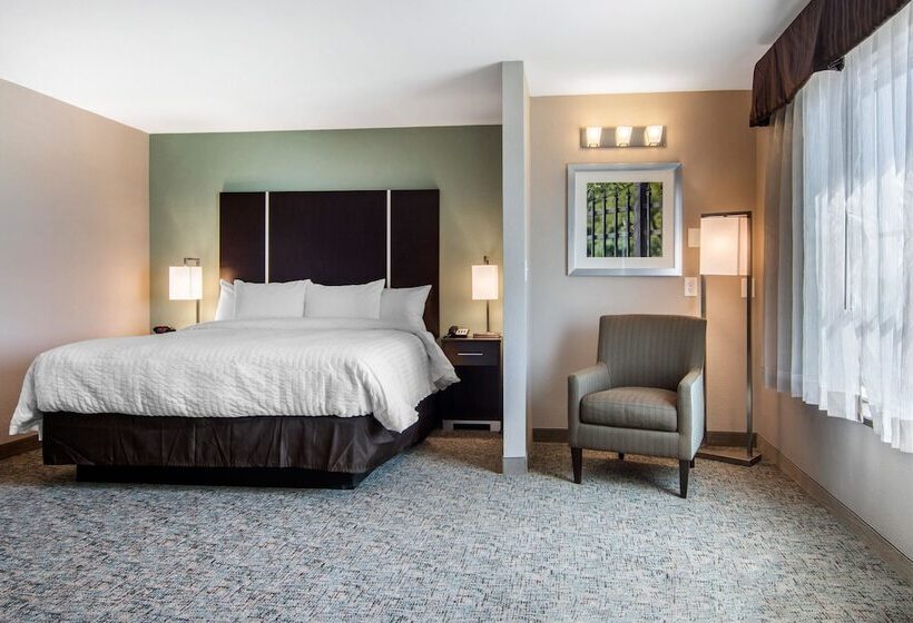 סוויטה, Clarion Inn & Suites Atlanta Downtown