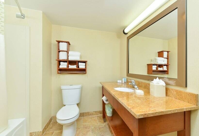 Standard Værelse 2 Dobbeltsenge, Hampton Inn Chicagocarol Stream