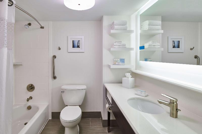 스위트 킹사이즈 침대, Hampton Inn & Suites Chapel Hill/durham, Area