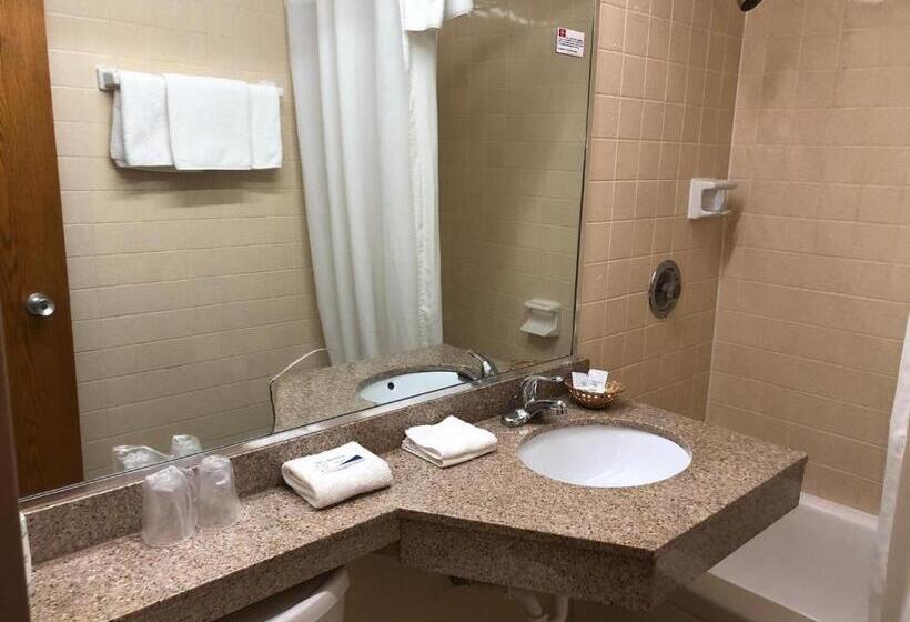 Номер Стандарт, Red Carpet Inn Syracuse Airport