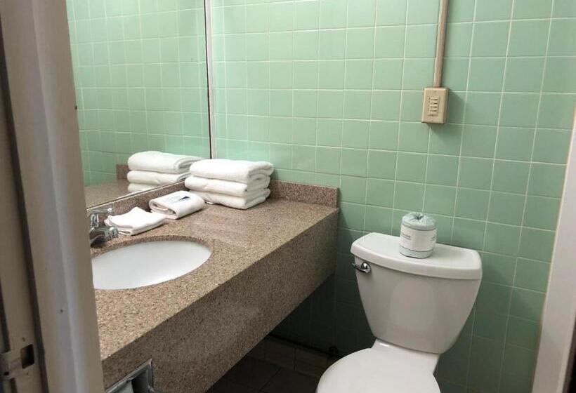 Стандартный Номер Кровать Кинг, Red Carpet Inn Syracuse Airport