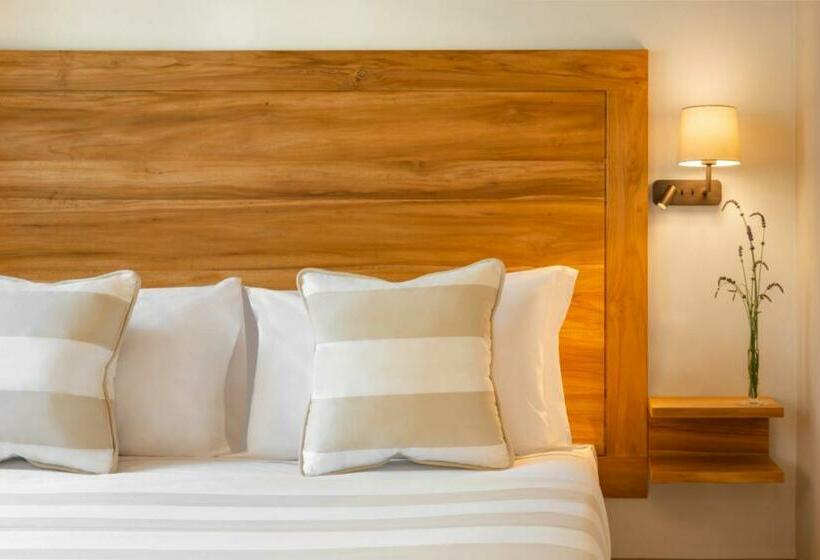 اتاق استاندارد با دسترسی به اسپا, San Michele Relais & Spa