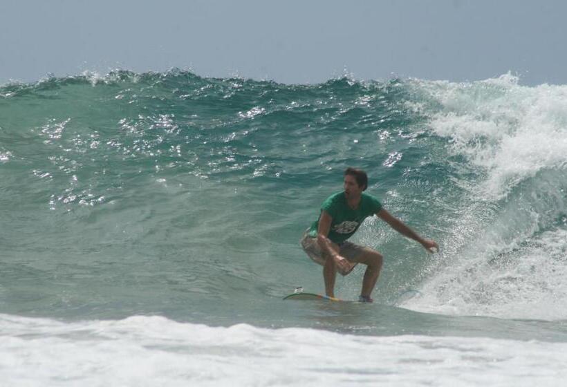 تختخواب در اتاق مشترک, Backpackers Inn On The Beach