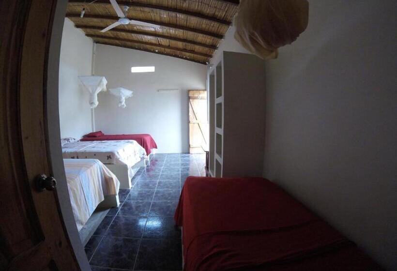 חדר סטנדרט לארבעה, Montañita Garden Hostal