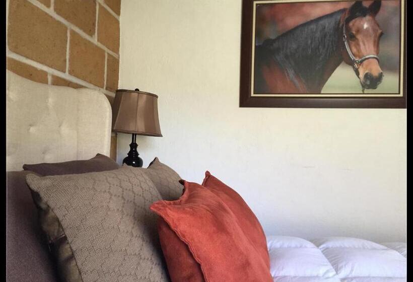 בונגלו משפחתי, Cabañas, Suites Y Habitaciones Rancho San Jorge