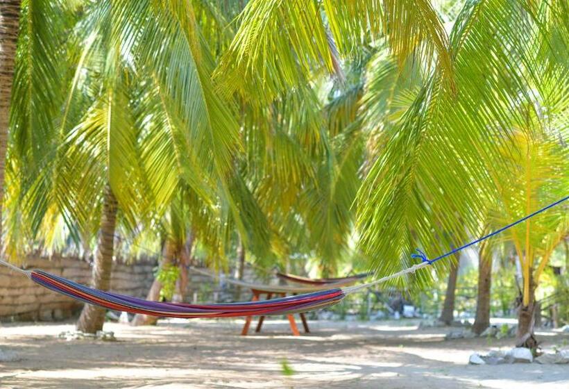 اتاق استاندارد با چشم‌انداز استخر, De Silva Palm Resort