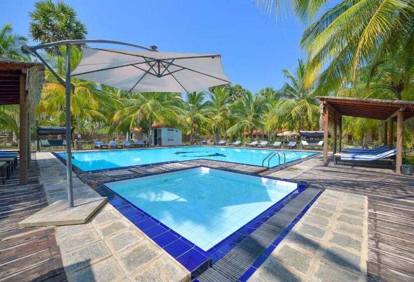 اتاق استاندارد, De Silva Palm Resort