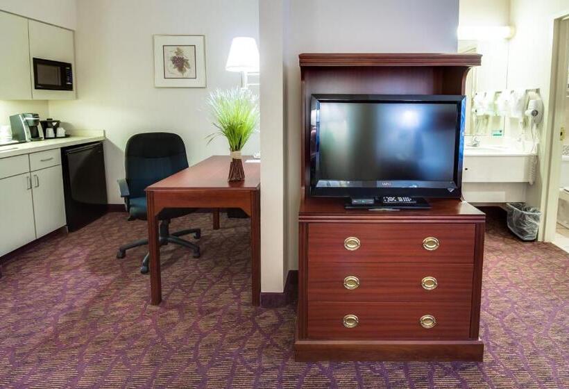 Studio Deluxe, Ashmore Inn And Suites Amarillo