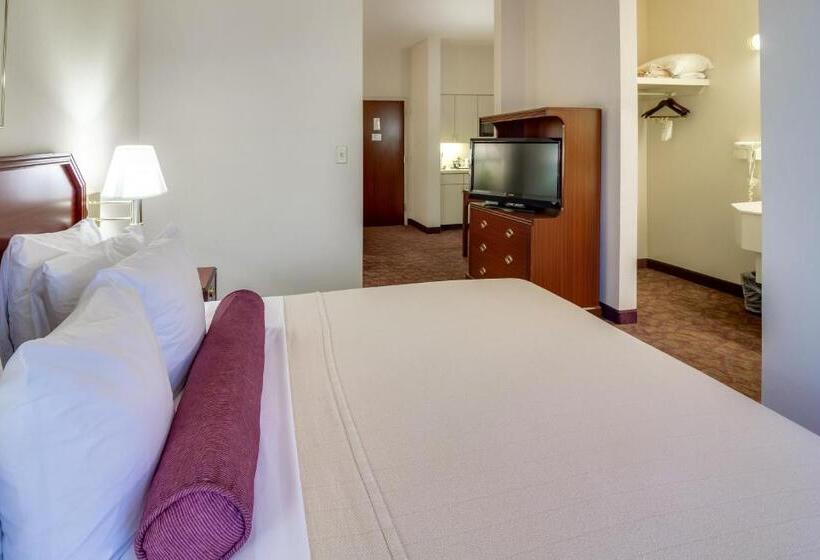 Studio Standard Lit King Size, Ashmore Inn And Suites Amarillo