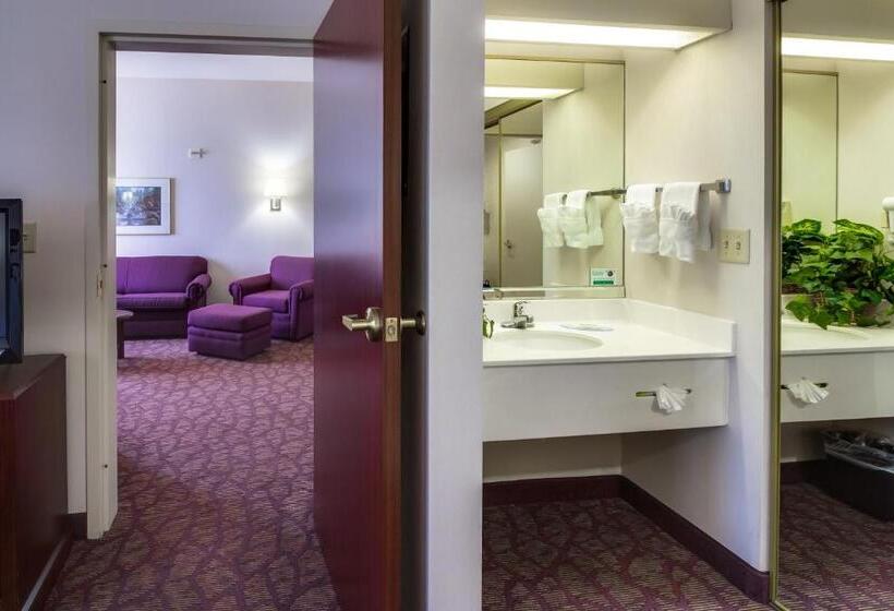 Suite Lit King, Ashmore Inn And Suites Amarillo