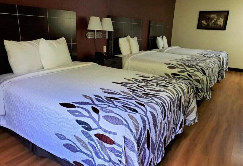Номер Deluxe, Red Roof Inn San Marcos