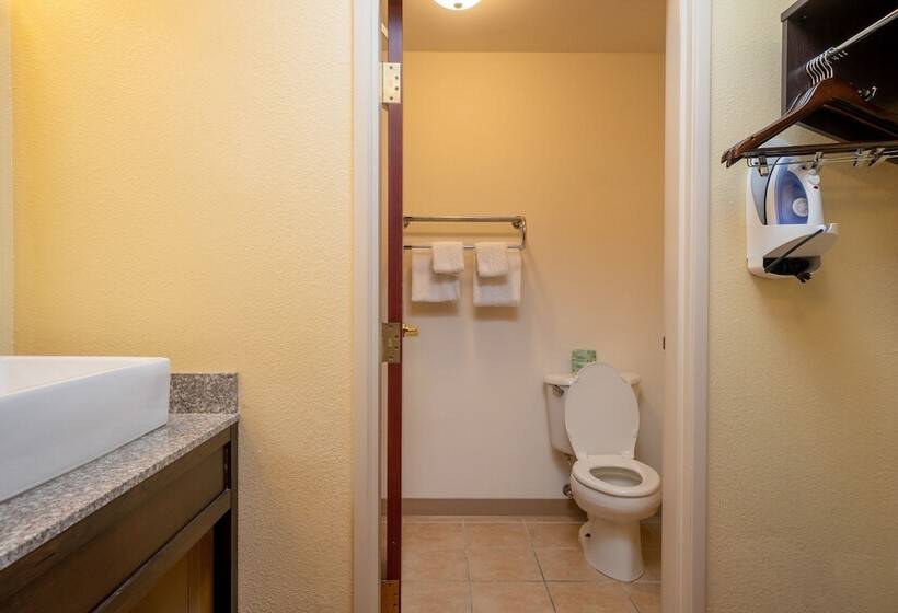 Номер Superior, Red Roof Inn & Suites Indianapolis Airport