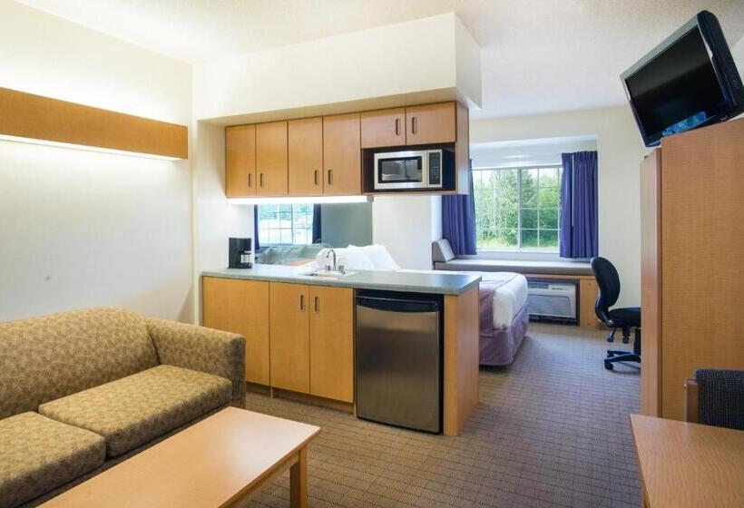 Студия Стандарт, Microtel Inn & Suites By Wyndham Plattsburgh