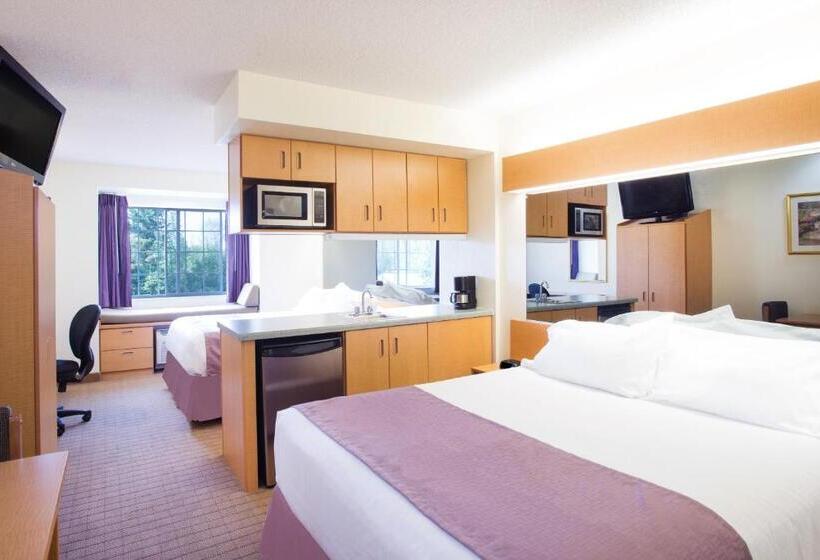 Студия Стандарт, Microtel Inn & Suites By Wyndham Plattsburgh