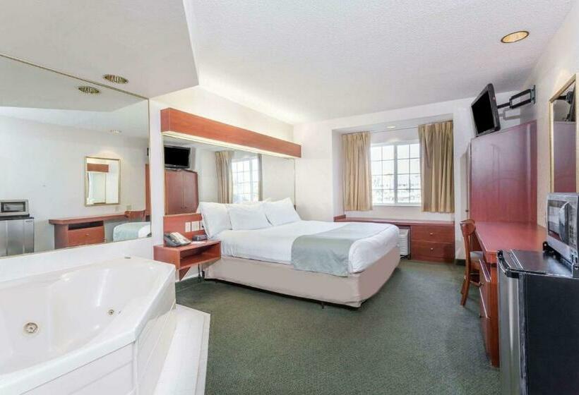 디럭스 스위트, Microtel Inn & Suites Marianna