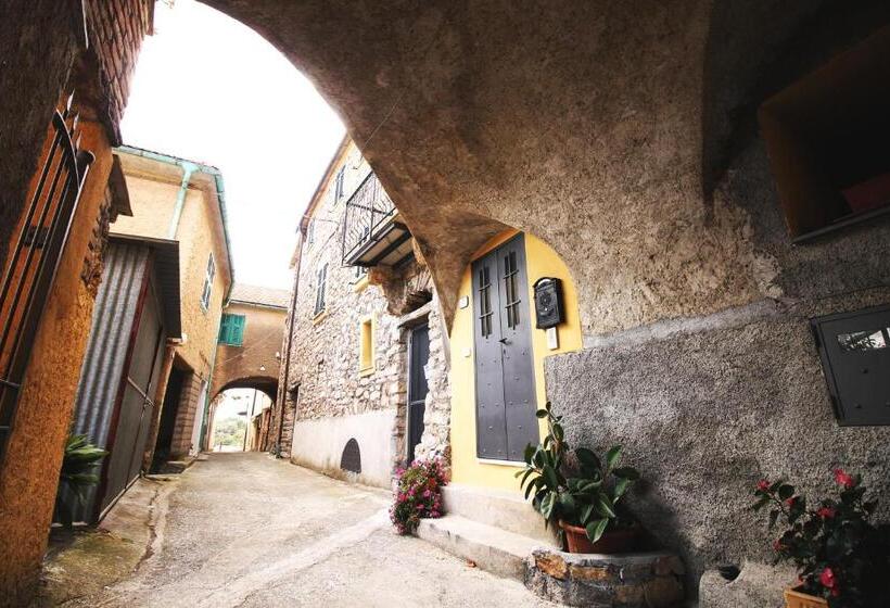 Апартаменты 1 Спальня с Террасой, Agriturismo Il Poggio Di Vasia Citr00864 Agr 0001