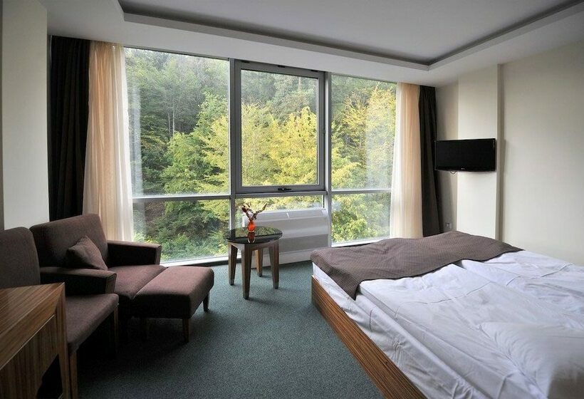 اتاق استاندارد با تخت دوبل, Balvanyos Resort