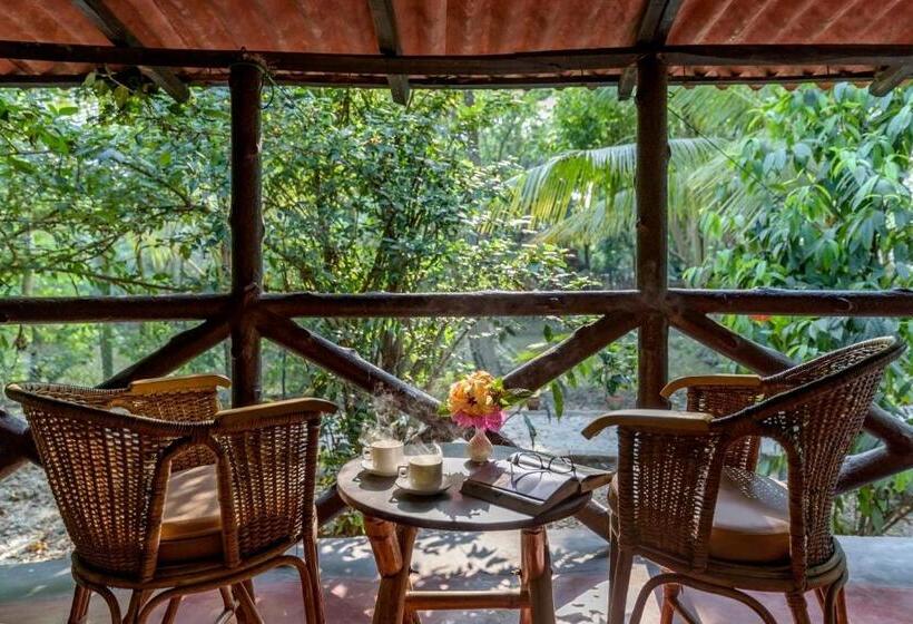 Номер Deluxe, Sunderban Tiger Camp