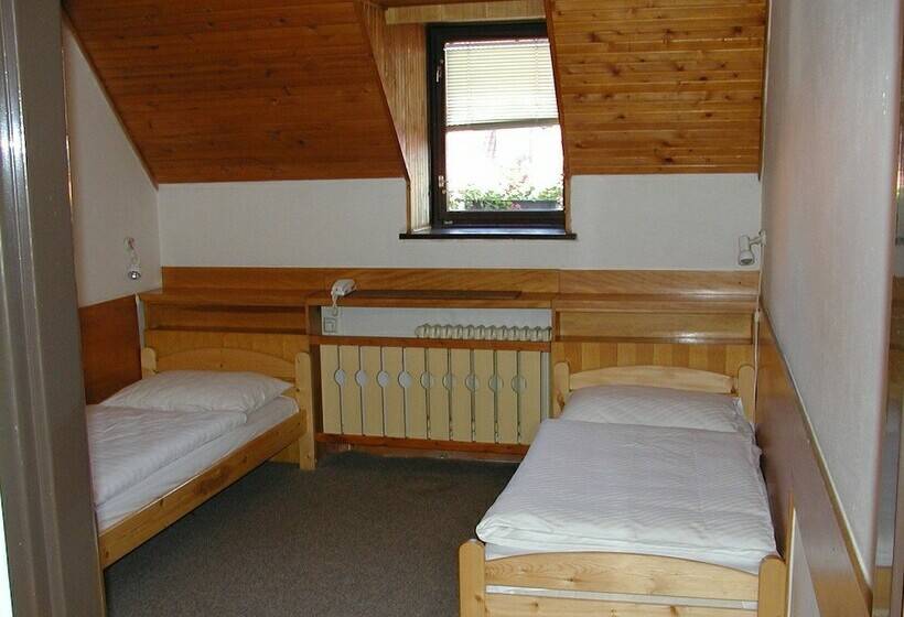 Номер Стандарт, Motorest A Motel Rohlenka Austerlitz