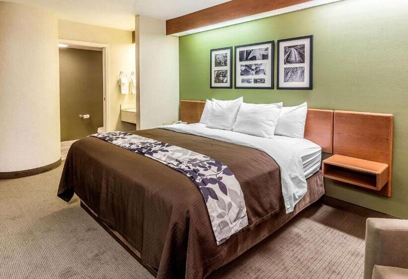 스탠다드 룸 킹사이즈 침대, Sleep Inn & Suites Bay View Acme   Traverse City