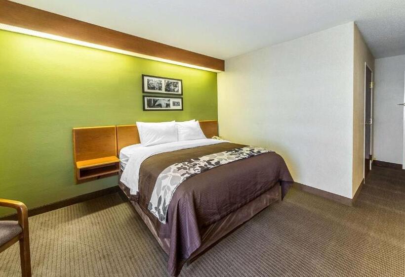 장애인을 위한 스탠다드 룸, Sleep Inn & Suites Bay View Acme   Traverse City