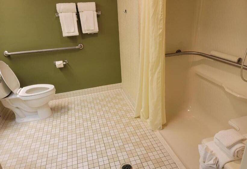장애인을 위한 스탠다드 룸, Sleep Inn & Suites Bay View Acme   Traverse City