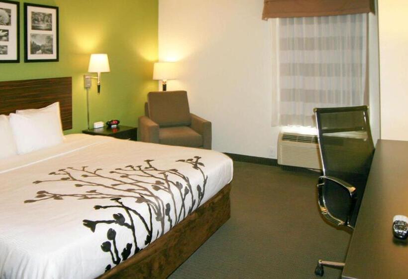 스탠다드 룸 킹사이즈 침대, Sleep Inn & Suites Stony Creek  Petersburg South