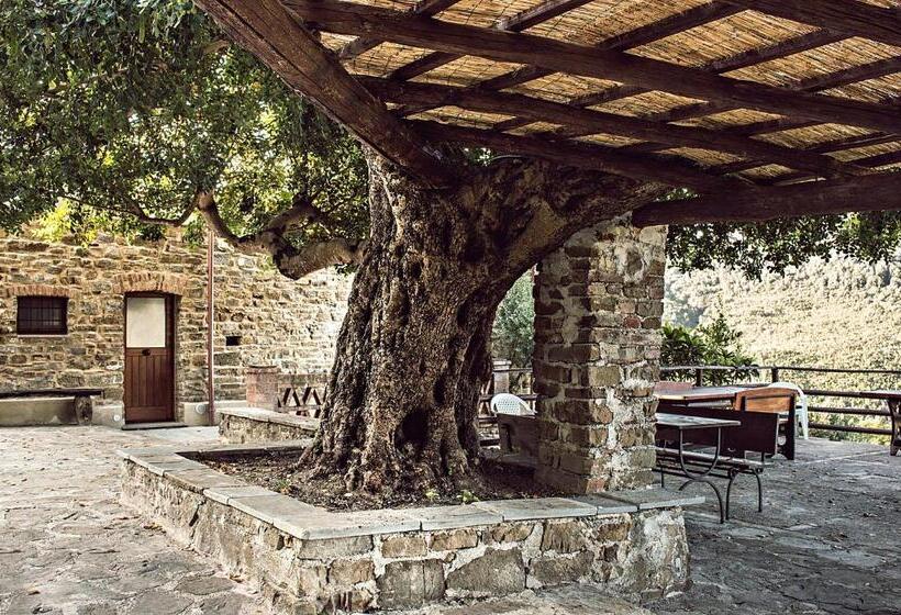 Апартаменты 1 Спальня, Casale I Cirillo