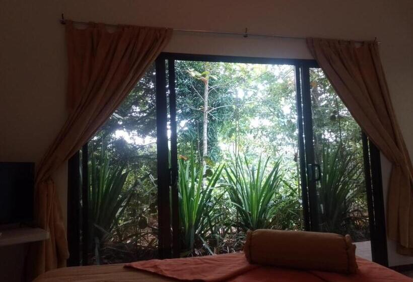 스탠다드 룸, San Rafael Ecolodge
