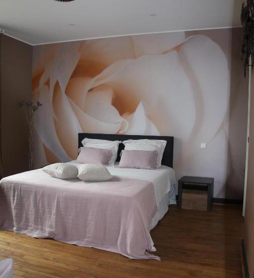 Номер Стандарт, B&b Het Doctershoes