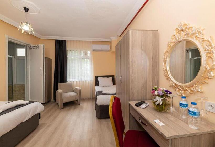 اتاق استاندارد سه نفره, Golden Flower Pansiyon