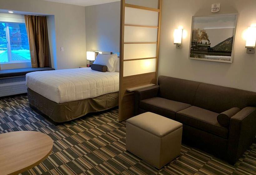 سوییت, Microtel Inn & Suites By Wyndham Georgetown Lake