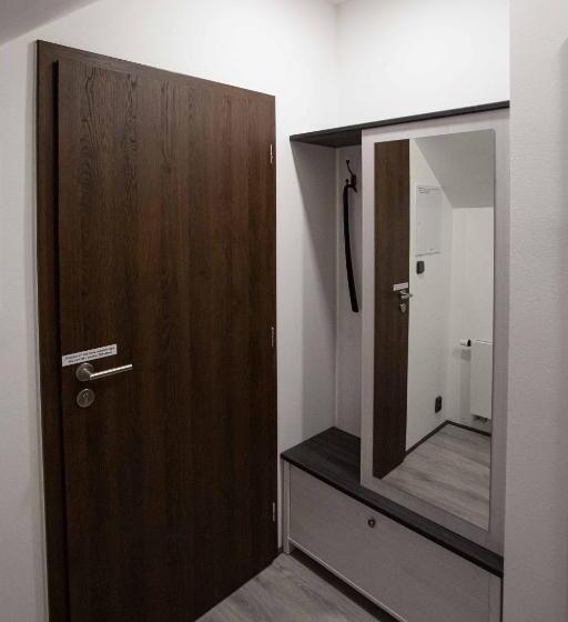 １ベッドルームのデラックスアパートメント, Apartmány U Solišů