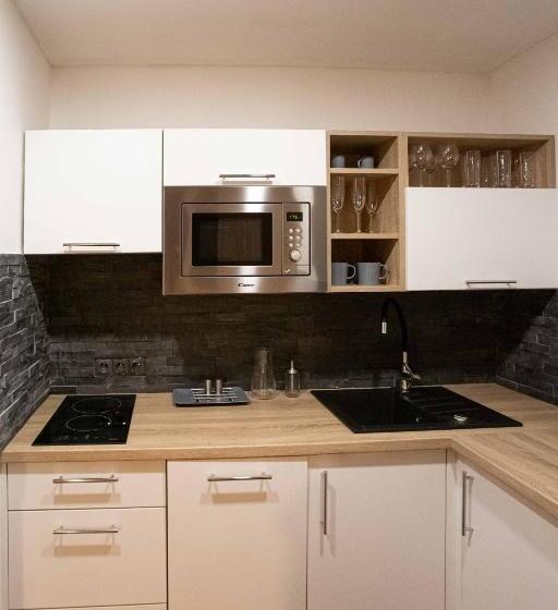 １ベッドルームアパートメント, Apartmány U Solišů