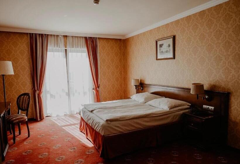 Номер Deluxe, Delfin Spa&wellness