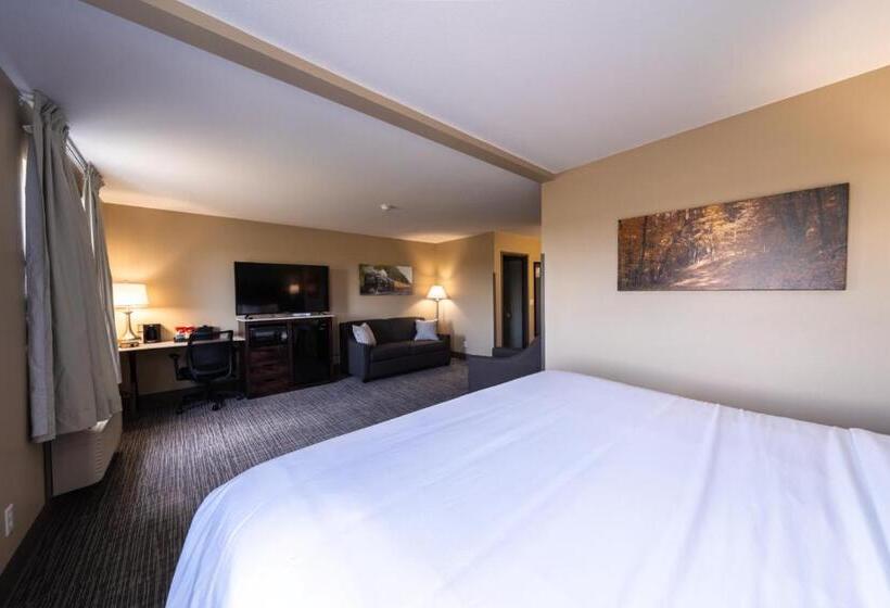스탠다드 스튜디오 킹침대, Cobblestone Inn & Suites  Trenton