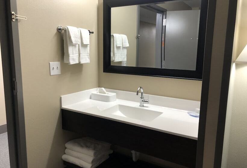 스탠다드 스튜디오, Cobblestone Inn & Suites  Trenton