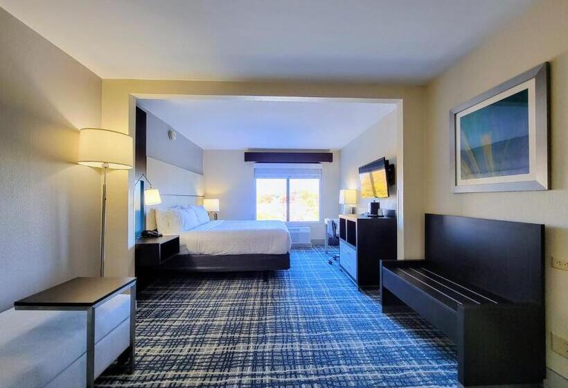 장애인을 위한 킹사이즈 침대 스탠다드 룸, Holiday Inn   Belcamp   Aberdeen Area, An Ihg