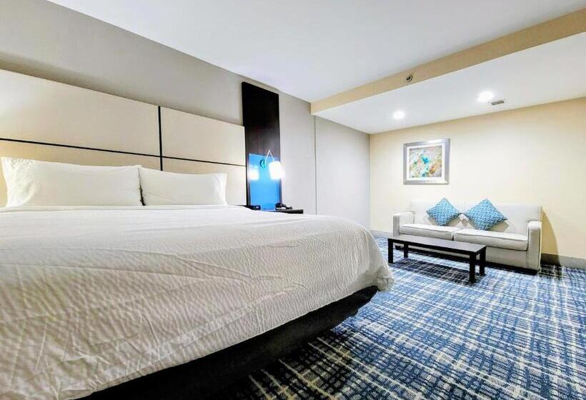 스위트 킹사이즈 침대, Holiday Inn   Belcamp   Aberdeen Area, An Ihg
