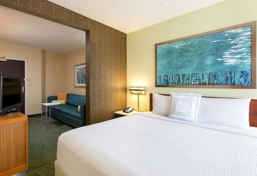 Люкс, Springhill Suites Austin South