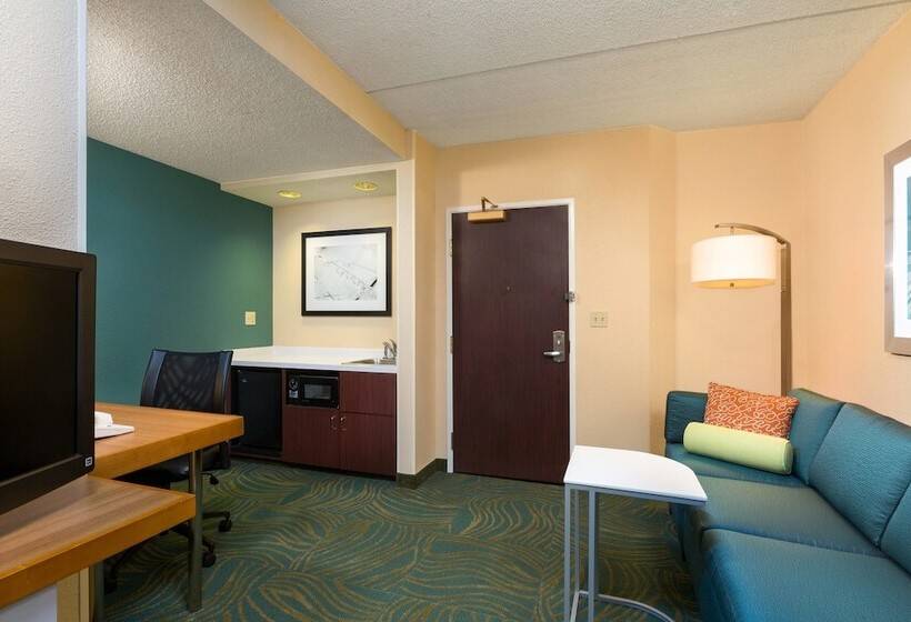 Люкс Адаптированный для Инвалидов, Springhill Suites Austin South