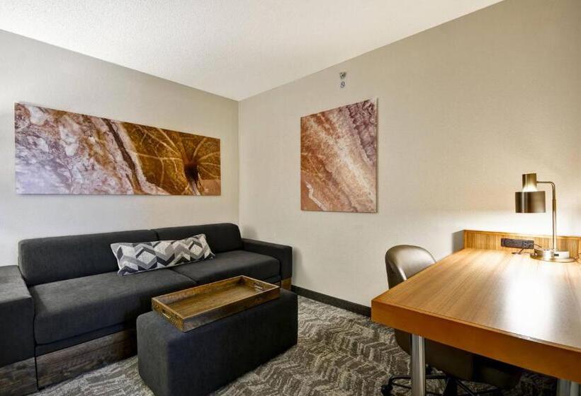 Люкс Кровать Кинг, Springhill Suites Lexington Near The University Of Kentucky