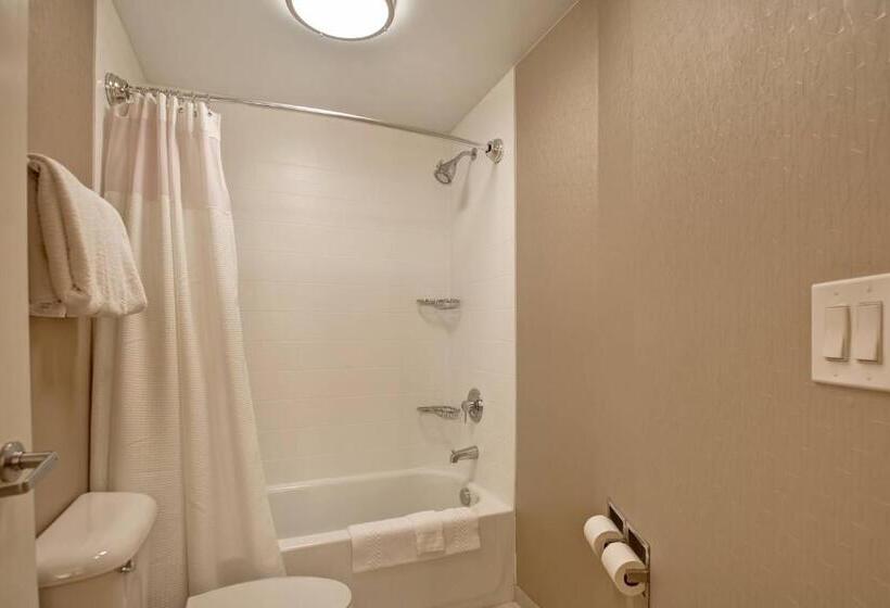 Люкс, Springhill Suites Lexington Near The University Of Kentucky