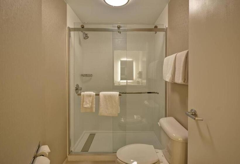 Номер Superior, Springhill Suites Lexington Near The University Of Kentucky