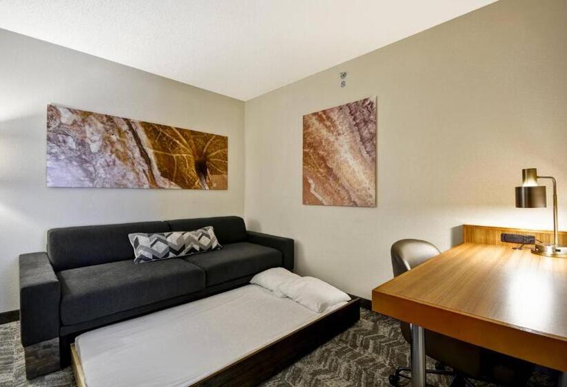 Люкс Адаптированный для Инвалидов, Springhill Suites Lexington Near The University Of Kentucky